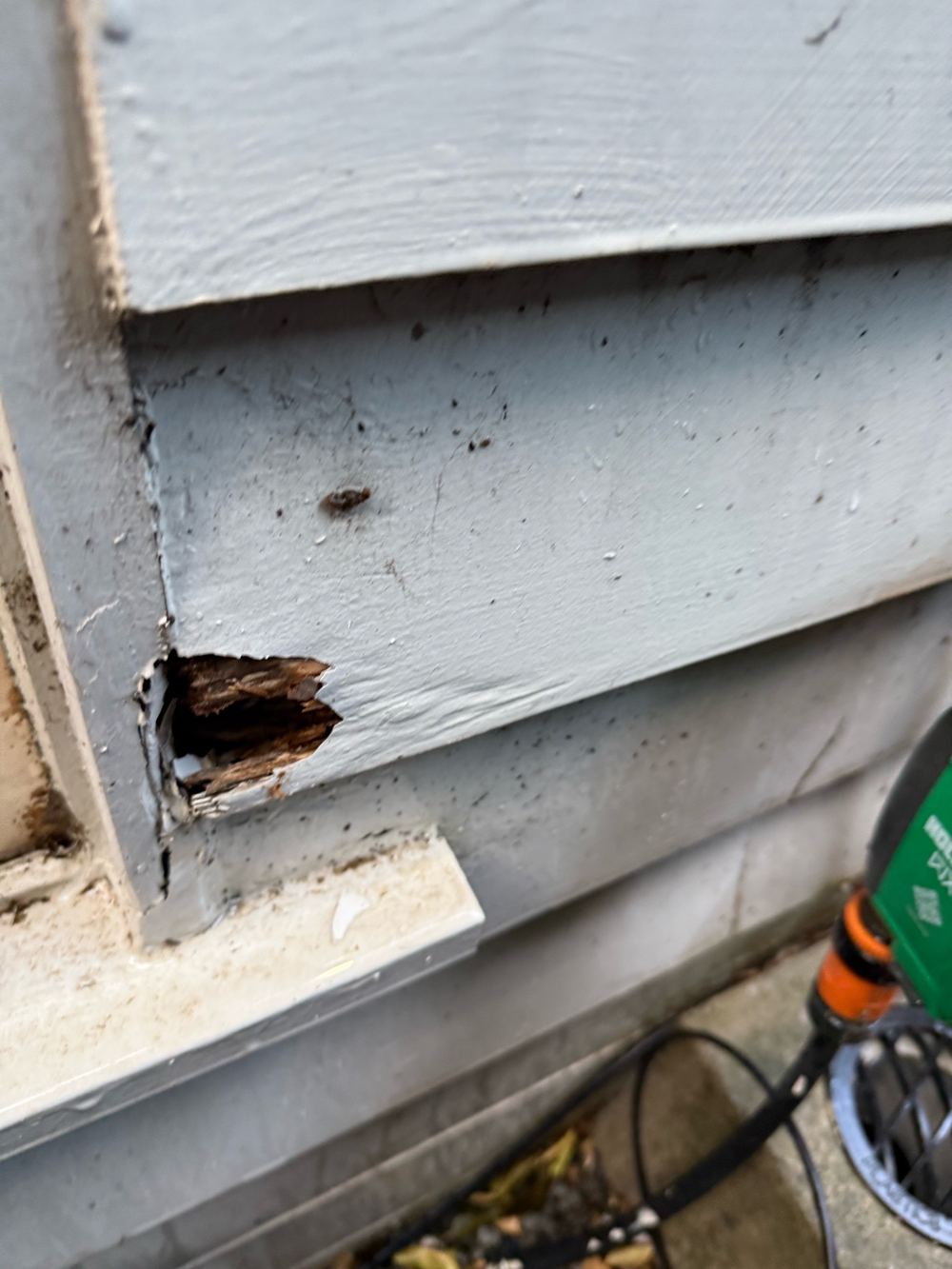 Cladding boards separated, opening a path for moisture behind them, found during a pre-purchase inspection in Hawthorn